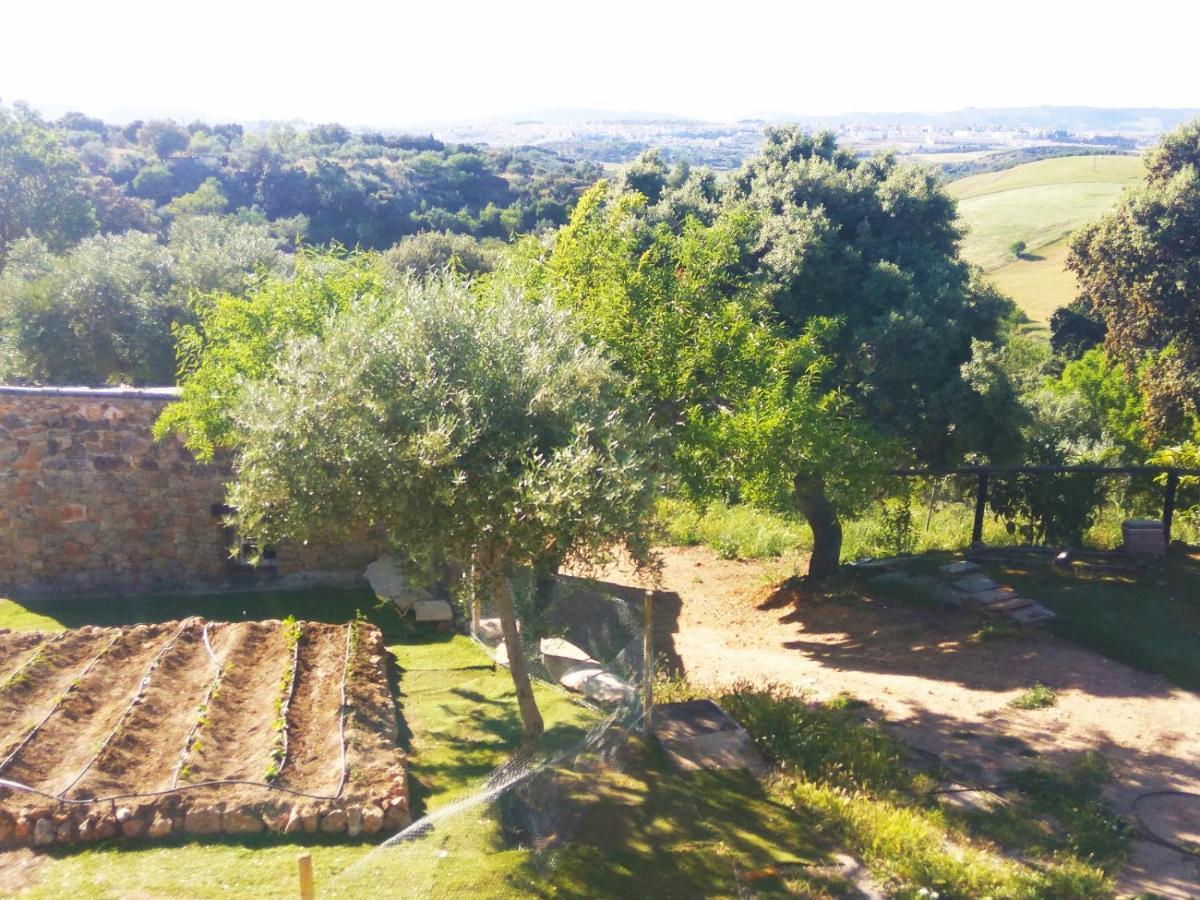 Casa Rural Bellavista 龙达 外观 照片