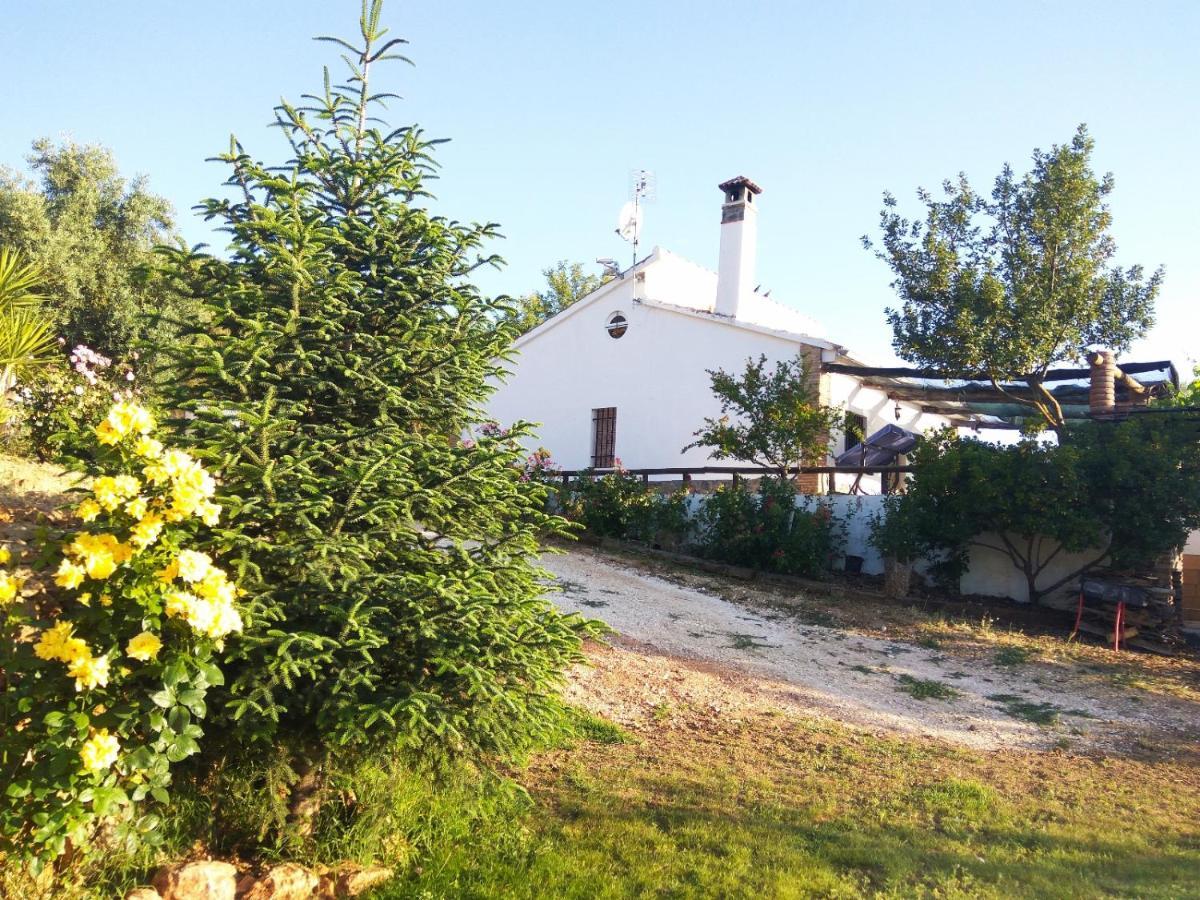Casa Rural Bellavista 龙达 外观 照片